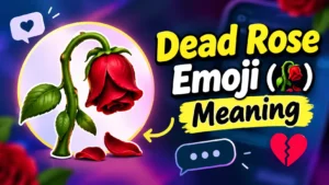 Dead Rose Emoji Meaning (🥀)