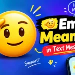 🫡 Emoji Meaning